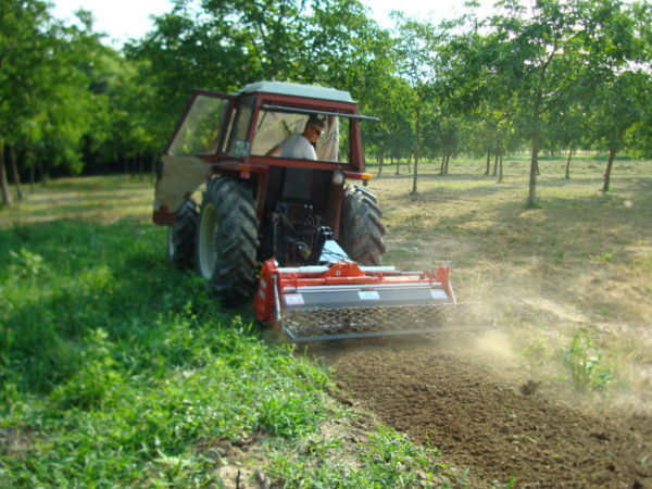 Muratori MZ61 SXL overtopfrees op tractor